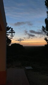 Montum Farm Living