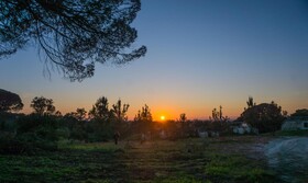 Montum Farm Living