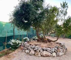 Montum Farm Living
