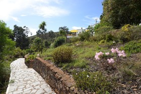 Moinho da Asneira