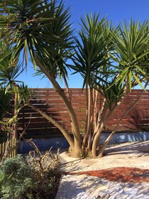 Casa das Tres Aguias