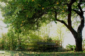 Casa das Tres Aguias