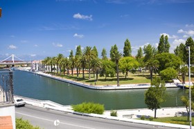 das Salinas