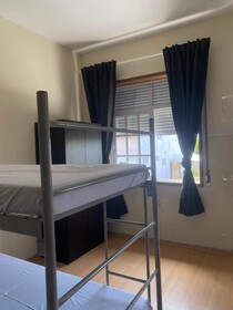 Garden Hostel
