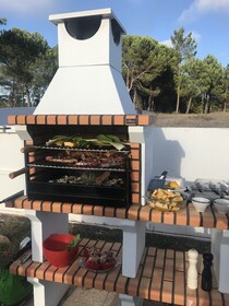 Casa Artelena