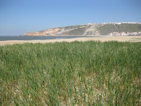 Hotel da Nazaré