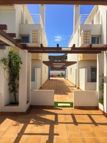 Paradise Apartments