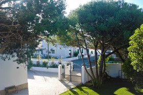 Silver Seahorse Garden Retreat
