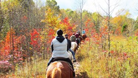 Pousadela Village Among Nature