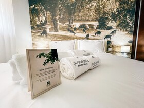 Pousadela Village Among Nature