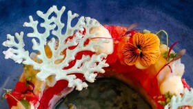 Pousadela Village Among Nature