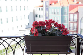 Cardosas Story Apartments by Porto City Hosts