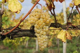 Casa do Monte de Roques