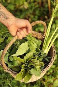 Areias do Seixo Villas