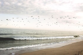 Noah Surf House