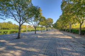 Avenida Parque