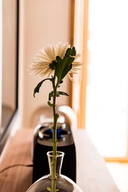 Flora Chiado Apartments