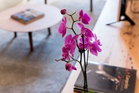 Flora Chiado Apartments