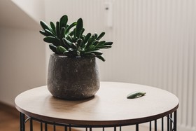 Hygge Lisbon Suites
