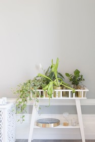 Hygge Lisbon Suites