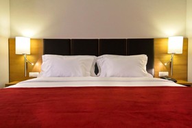 Sana Reno Hotel