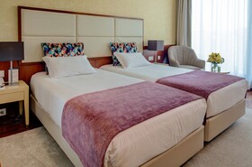 VIP Executive Art’s Hotel