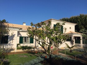 Buganvilia Do Meco