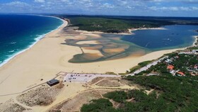 Buganvilia Do Meco