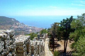 Buganvilia Do Meco