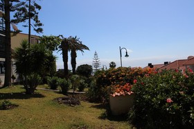 Studios Lua Sol