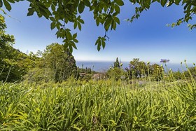 Quinta Devonia