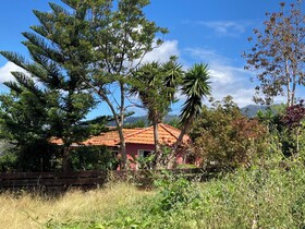 Little Norway  Etc Madeira