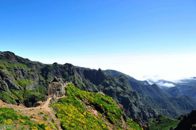 O Meu Sorriso Holiday Houses Calheta