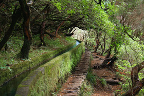 O Meu Sorriso Holiday Houses Calheta