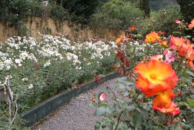 Pestana Quinta do Arco Nature & Rose Garden Hotel