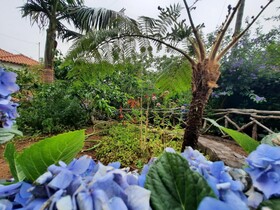 Rural House Casa Rosa