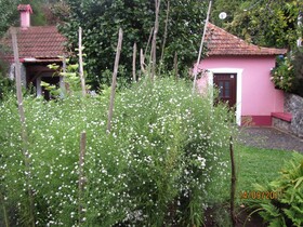 Rural House Casa Rosa