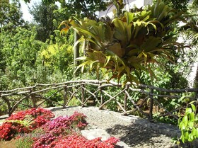 Rural House Casa Rosa