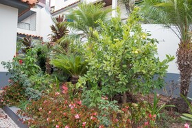 Gem of a House by Madeira Sun Travel