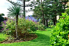 Pestana Ocean Bay All Inclusive
