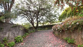 Quinta Das Malvas
