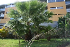 Quinta São João