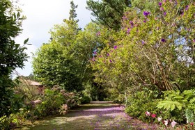 Quinta de Santo Antonio Da Serra