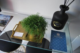 Guest House Santa Clara