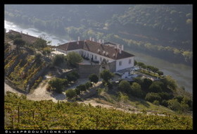 Quinta da Romaneira