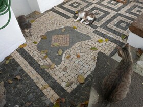 Casadangra