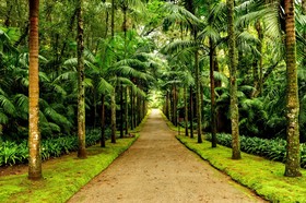 Terra Nostra Garden