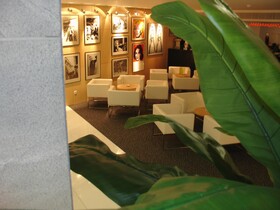 VIP Executive Azores