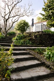 Adegas do Pico