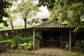 Adegas do Pico